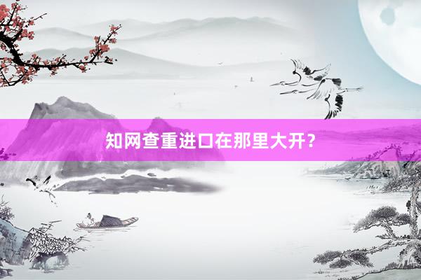 知网查重进口在那里大开？